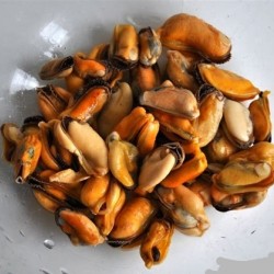 【韓國預購】韓國淡菜｜KS003｜KOREA SNACKS 1 SEAFOOD