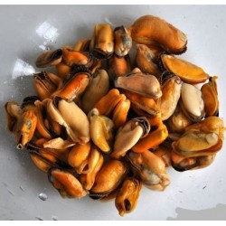 【韓國預購】韓國淡菜｜KS003｜KOREA SNACKS 1 SEAFOOD